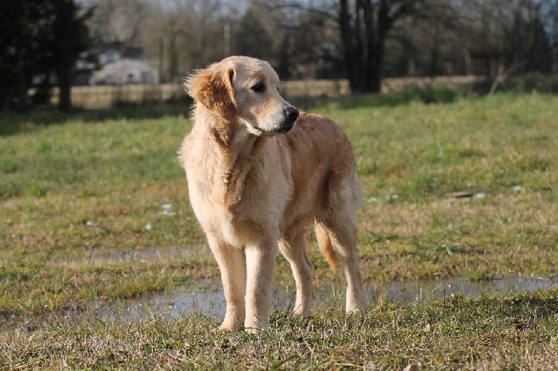 Jess du haut de la Girauderie