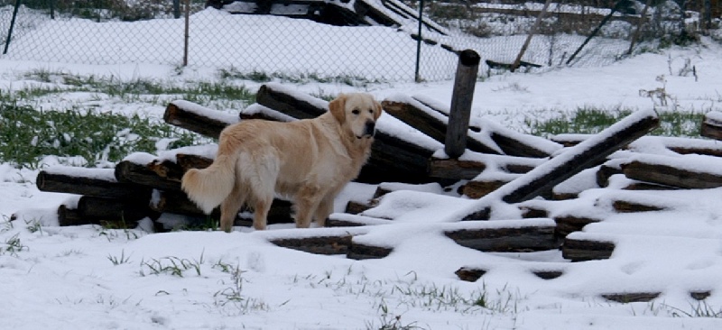 Fuego du haut de la Girauderie